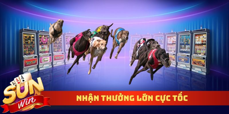 Nhận thưởng lớn cực tốc